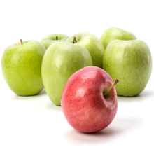 Wholesale Chinese fresh natural apple green apples